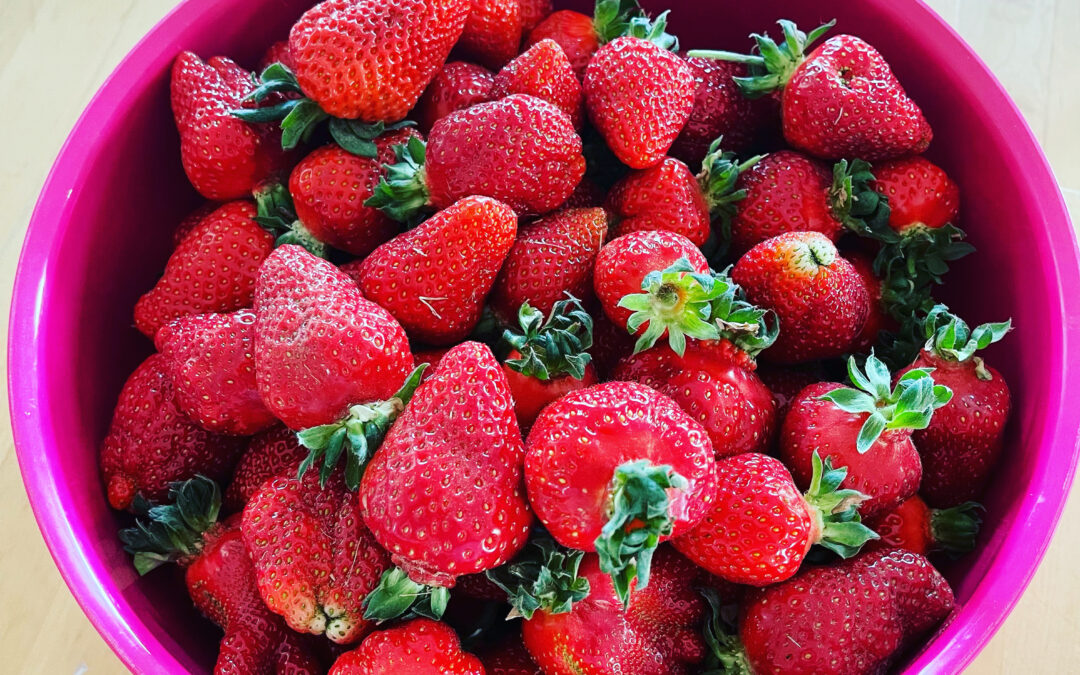 Rei­fe Erd­bee­ren und rei­fes Leben